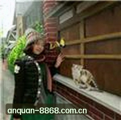 吴强